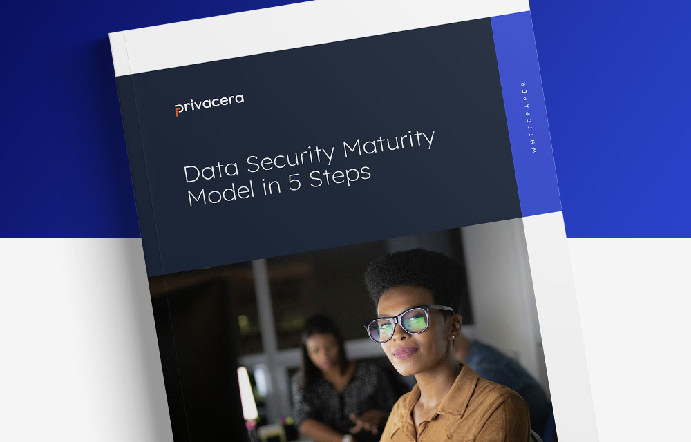 Data Security Maturity Model in 5 Steps
