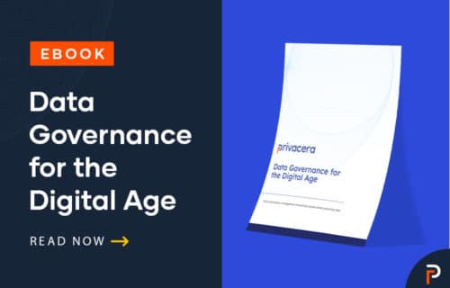 Buyer’s Guide: Data Governance for the Digital Age