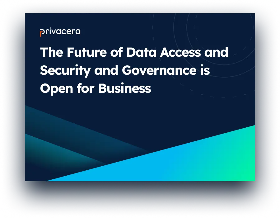 The future of data access, security, and governance