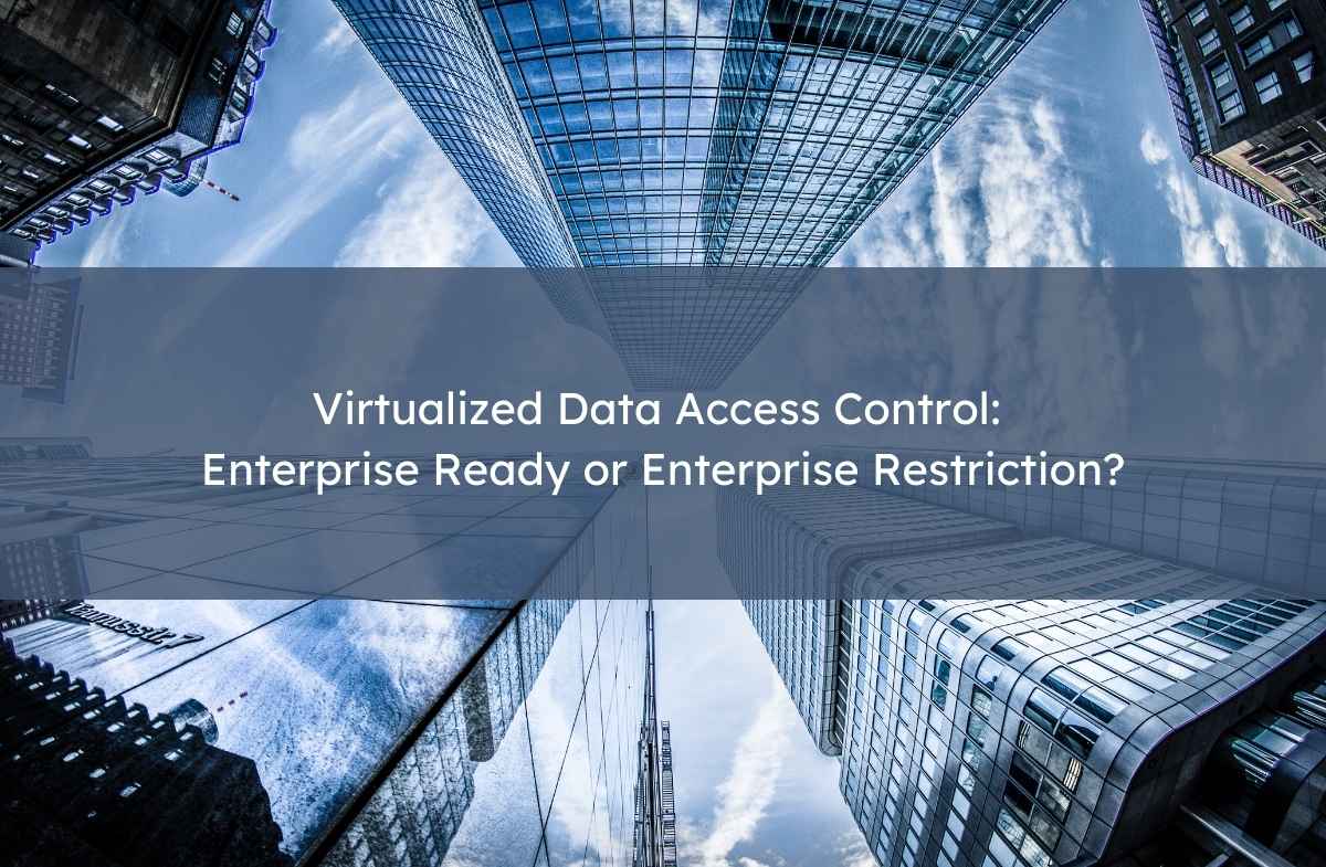 Virtualized Data Access Control: Enterprise Ready or Enterprise Restriction?