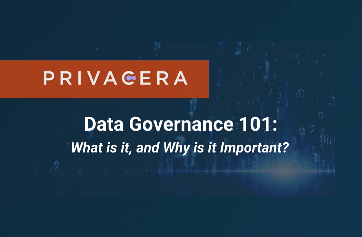 Data Governance 101: What it is, and Why it’s Critical to Your Business