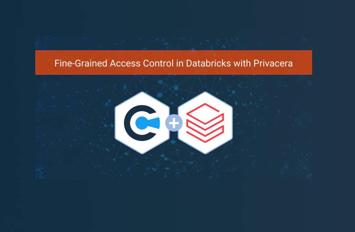 Fine-Grained Access Control in Databricks with Privacera