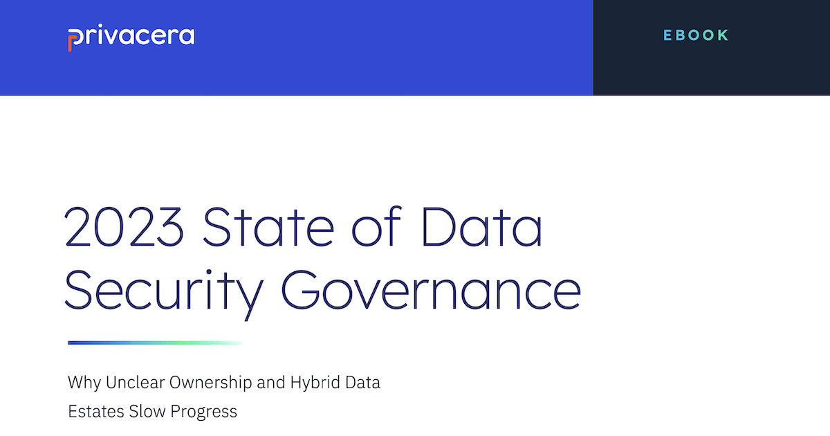 2023 State of Data Security Governance
