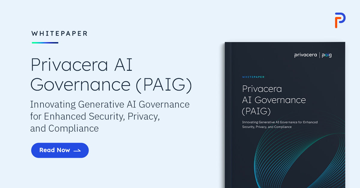 Privacera AI Governance (PAIG)