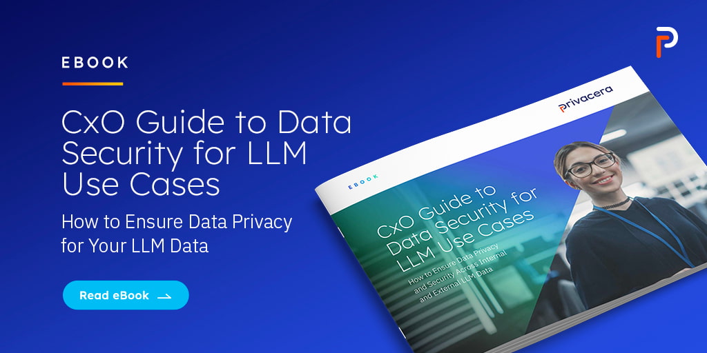 CxO Guide to Data Security for LLM Use Cases