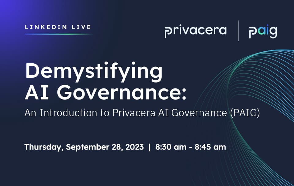 Demystifying AI Governance: An Introduction to Privacera AI Governance