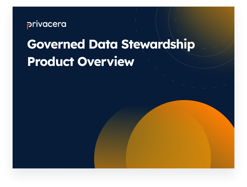 Governed Data Stewardship product overview video
