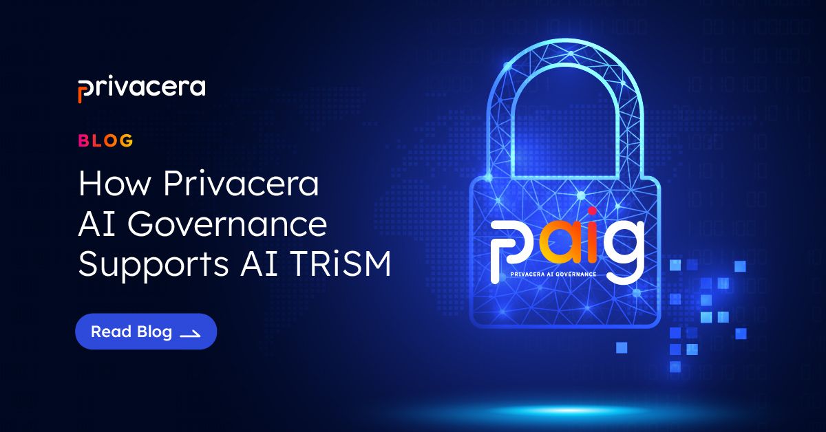 How Privacera AI Governance Supports AI TRiSM