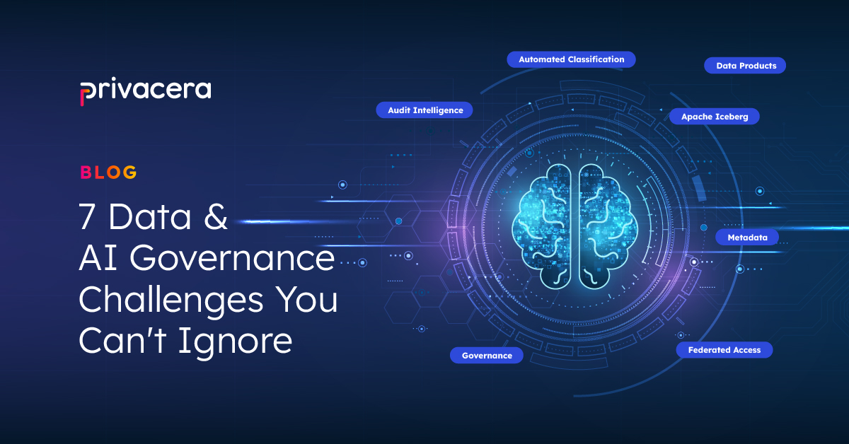 Privacera 7 Data and AI Challenges